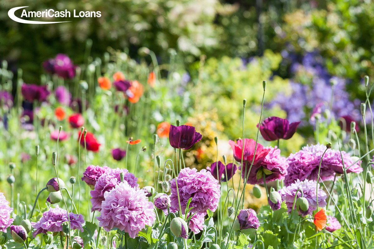 How to Plant a Garden and Keep Some Green